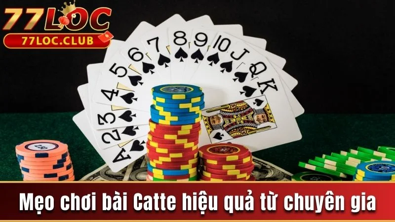 Catte 777loc - Khám Phá Game Bài Mới Lạ Tại Live Casino 4 Mẹo chơi bài Catte hiệu quả từ chuyên gia